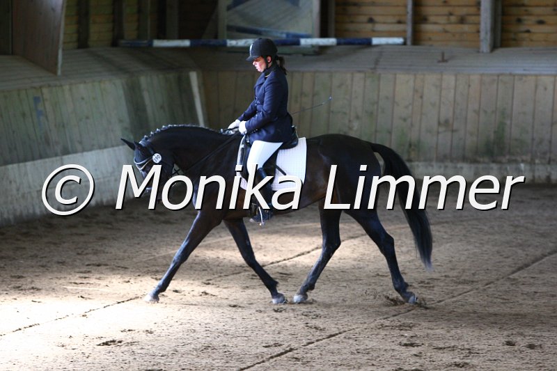 006M6541_Dressurpferde A.JPG